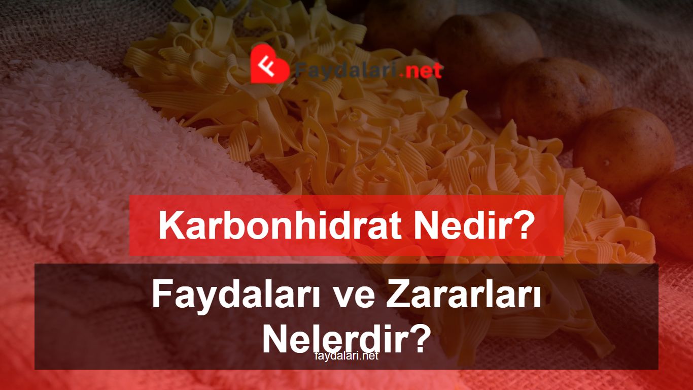 Karbonhidrat Nedir Faydaları ve Zararları Nelerdir Faydalari net