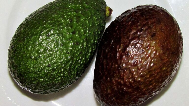 Avokadonun Faydaları Nelerdir?