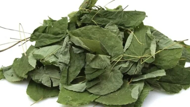 Azgın Teke Otunun Faydaları Nelerdir?