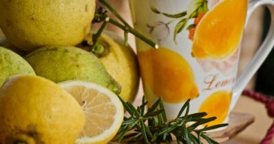 Biberiye Çayının Faydaları Nelerdir?