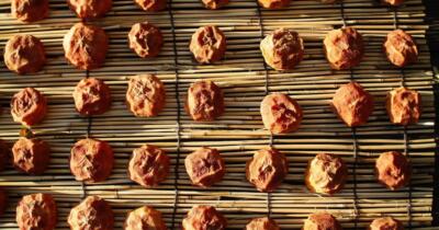 Cennet Hurması Kurusu Nasıl Yapılır Faydaları Nelerdir?