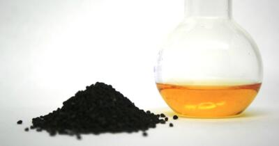 Çörek Otunun Faydaları Nelerdir?