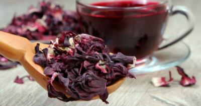 Hibiskusun Faydaları Nelerdir?