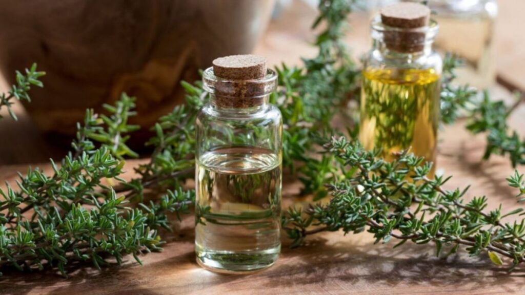 Kekik Yağının Fadaları Nelerdir?