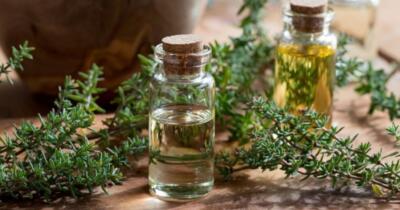 Kekik Yağının Fadaları Nelerdir?