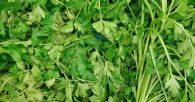 Maydonoz'un Faydaları Nelerdir?