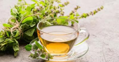 Melisa Çayının Faydaları Nelerdir?