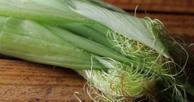 Mısır Püskülü Çayının Faydaları Nelerdir?