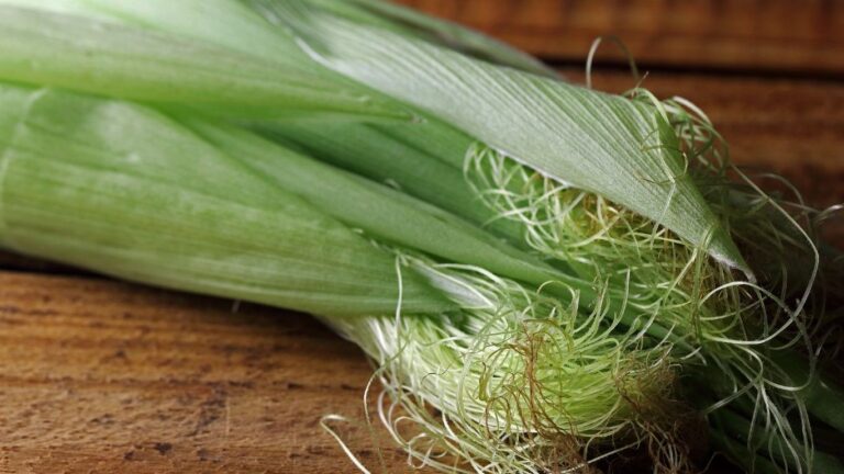 Mısır Püskülü Çayının Faydaları Nelerdir?