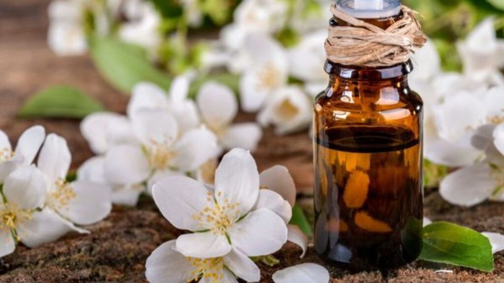 Yasemin Yağının Faydaları Nelerdir?