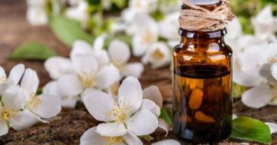 Yasemin Yağının Faydaları Nelerdir?