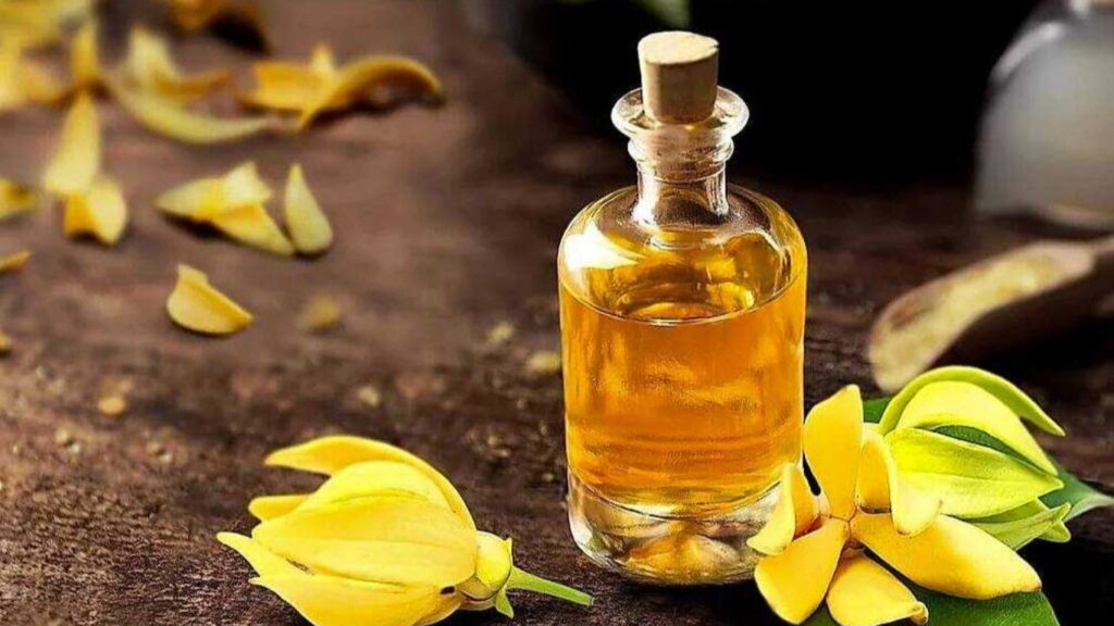 Ylang Ylang Yağının Faydaları Nelerdir?
