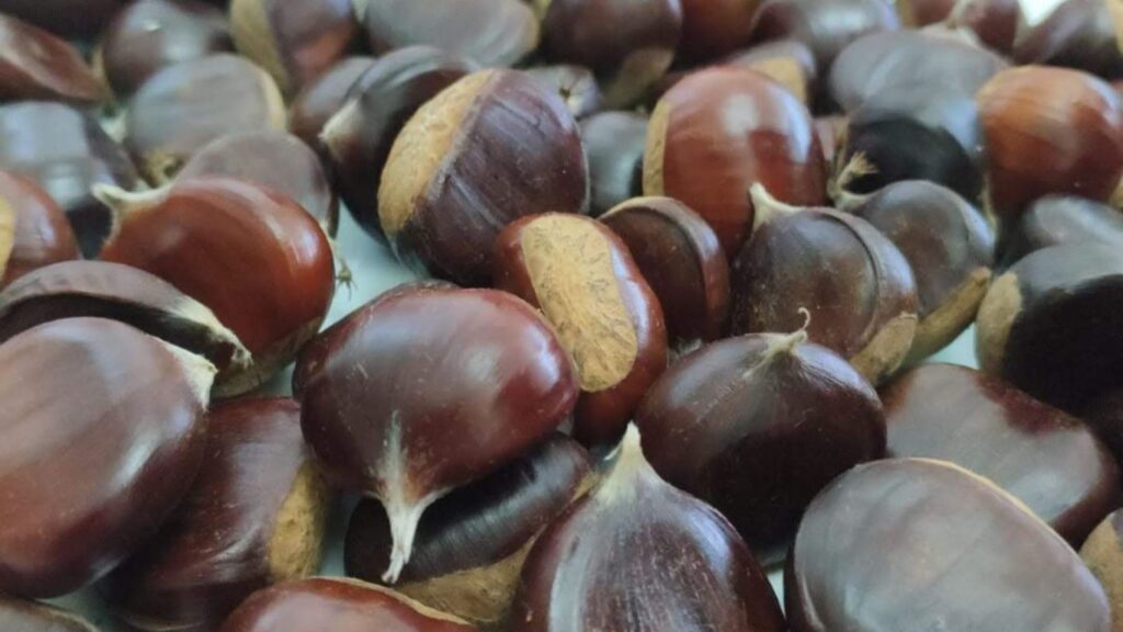 Kestanenin Faydaları Nelerdir?