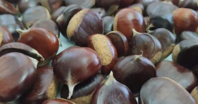 Kestanenin Faydaları Nelerdir?