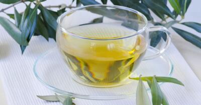 Taze Zeytin Yaprağı Çayının Faydaları Nelerdir?