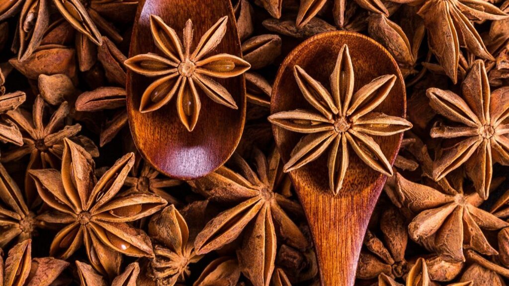 Yıldız Anasonun Faydaları Nelerdir?