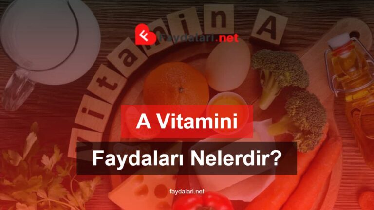 A Vitaminin Faydaları Nelerdir?