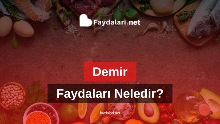 Demirin Faydaları Neledir?