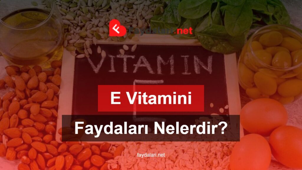 E Vitaminin Faydaları Nelerdir?