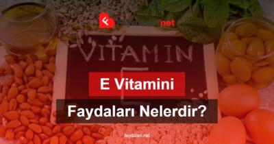 E Vitaminin Faydaları Nelerdir?