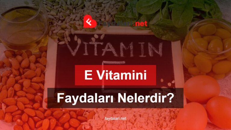 E Vitaminin Faydaları Nelerdir?