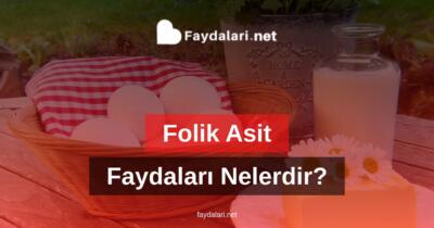 Folik Asit Faydaları Nelerdir?