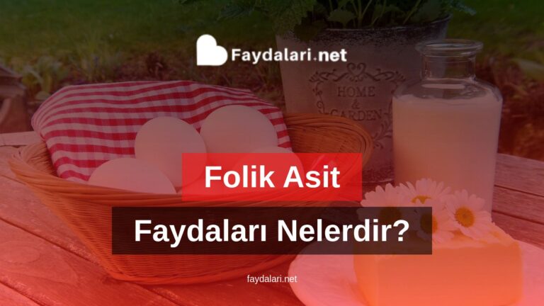 Folik Asit Faydaları Nelerdir?