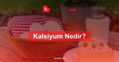 Kalsiyum Nedir? Faydaları Nelerdir?