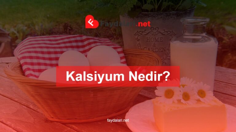 Kalsiyum Nedir? Faydaları Nelerdir?