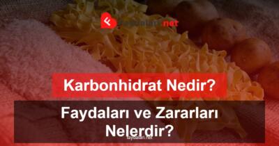 Karbonhidrat Nedir? Faydaları ve Zararları Nelerdir?