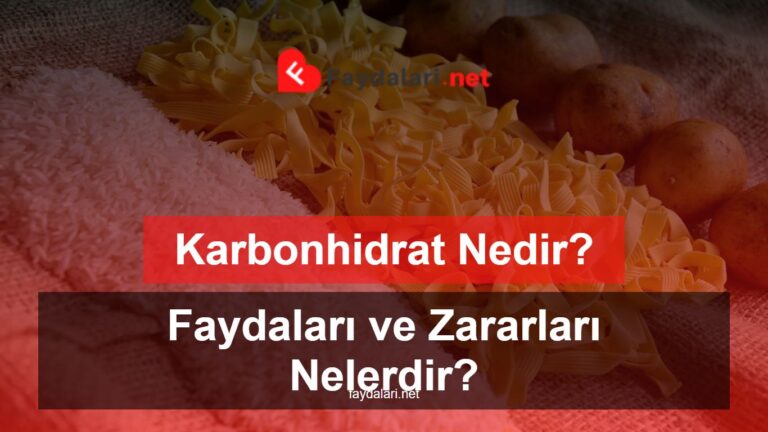 Karbonhidrat Nedir? Faydaları ve Zararları Nelerdir?