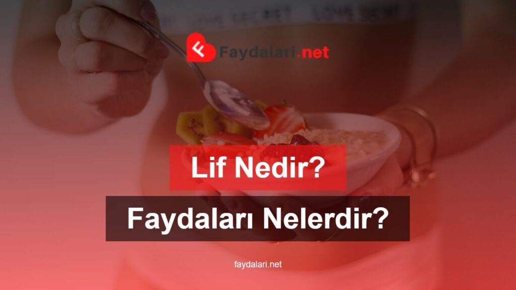 Lif Nedir? Faydaları Nelerdir?