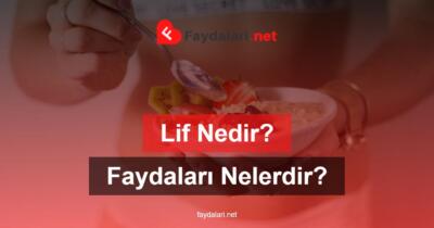 Lif Nedir? Faydaları Nelerdir?