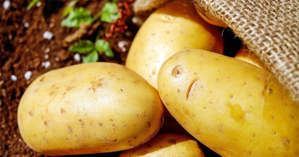 Patates