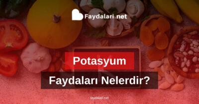 Potasyumun Faydaları Nelerdir?