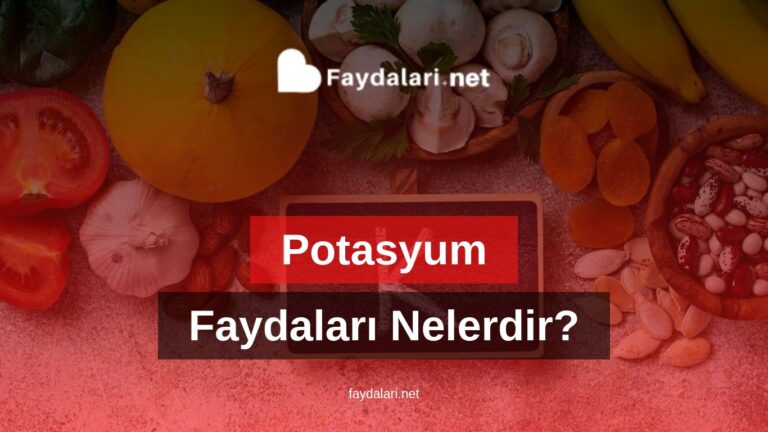 Potasyumun Faydaları Nelerdir?