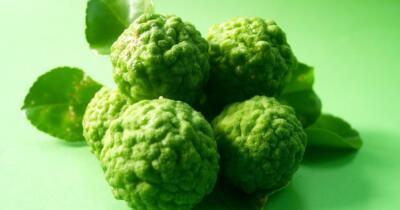 bergamot