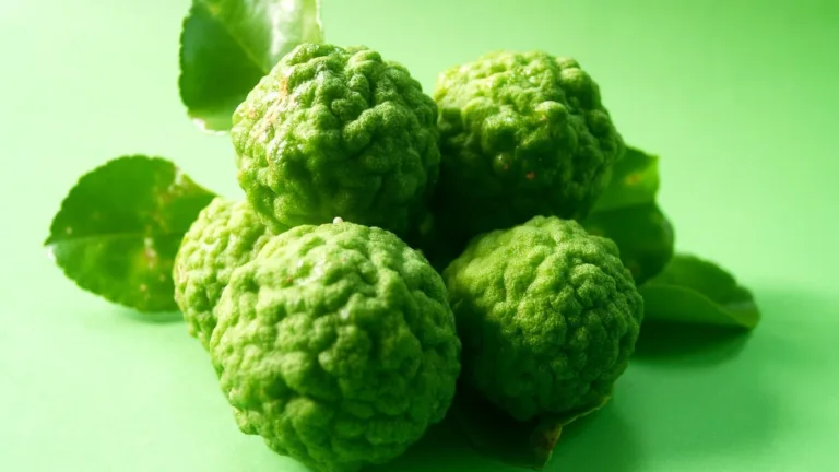 bergamot