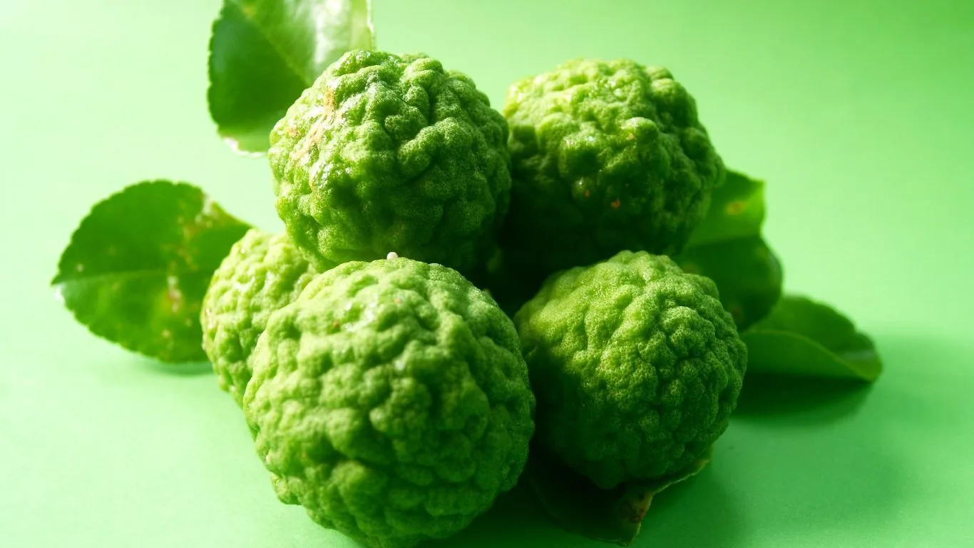 bergamot